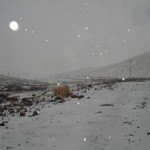Real de Catorce nieve 61 150x150 Cae Nieve en Real de Catorce