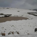 Real de Catorce nieve 9 150x150 Cae Nieve en Real de Catorce