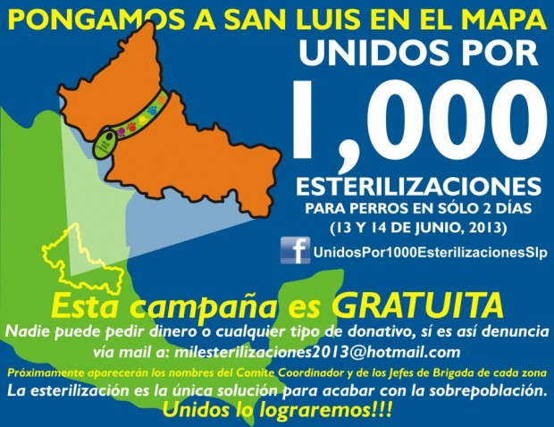 Campaña gratuita de esterilización en San Luis Potosí