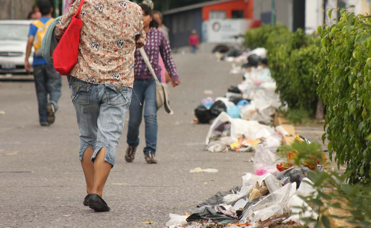 Ayuntamiento Sancionar A Cochinos Que Tiren Basura En Al Calle