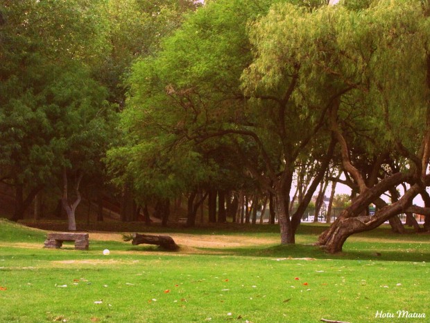 parque tangamanga