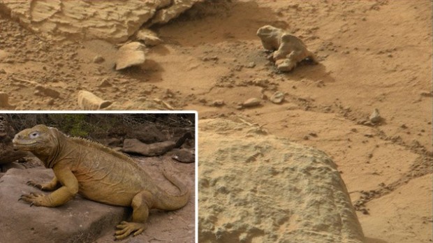 iguana en marte