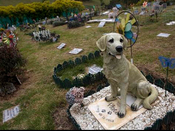 cementerio mascotas