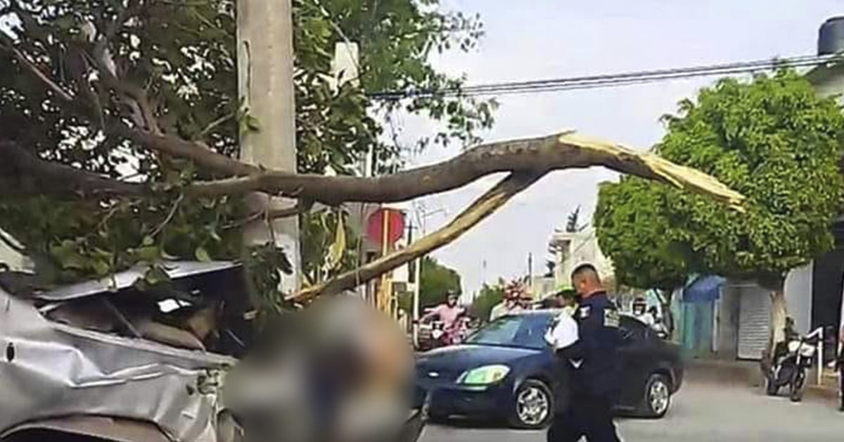 Conductor atropella y mata a tres personas en Matehuala