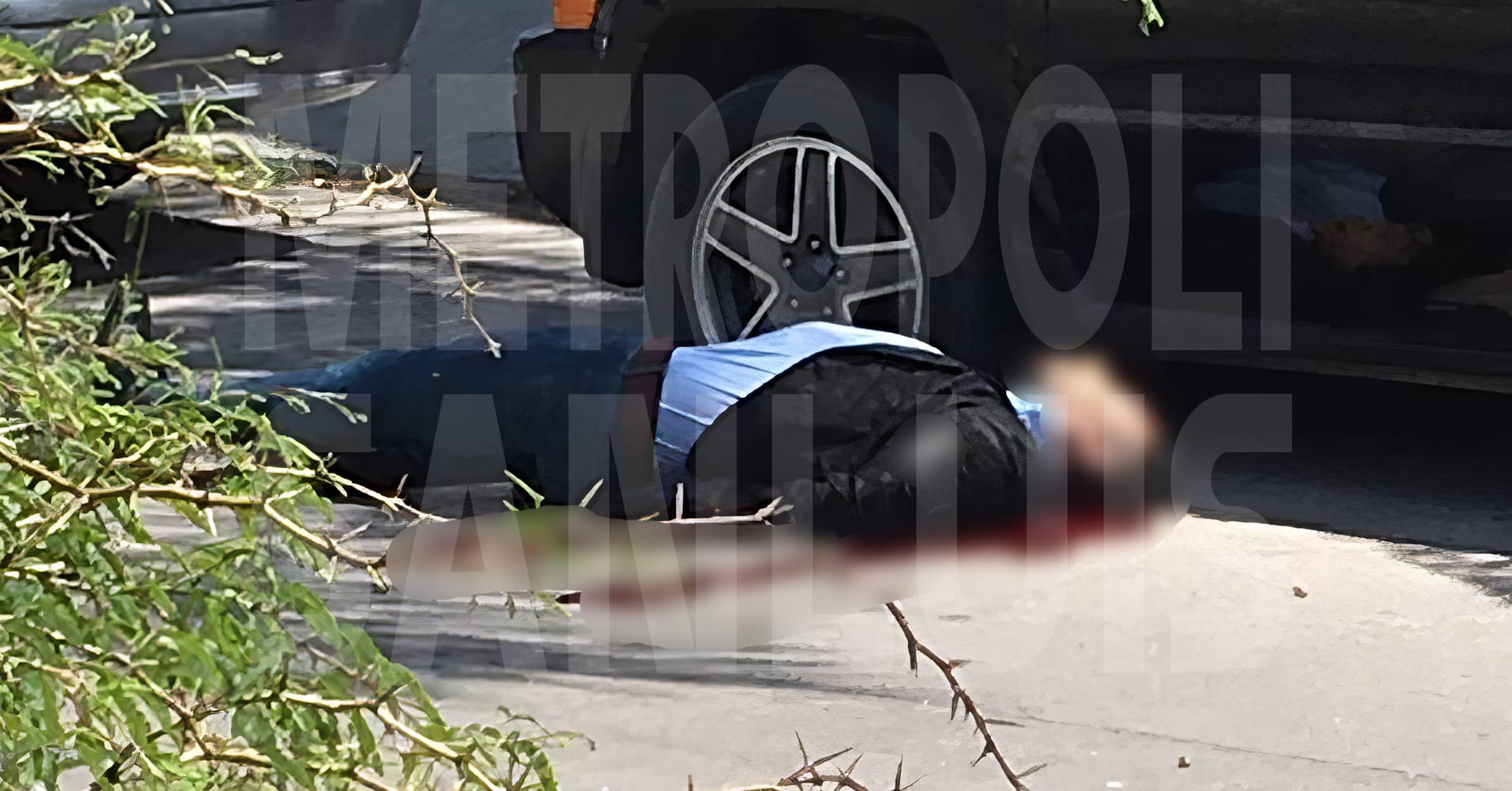 Cumplen amenazas: ejecutan al tiburón Medina mejor conocido como # ...