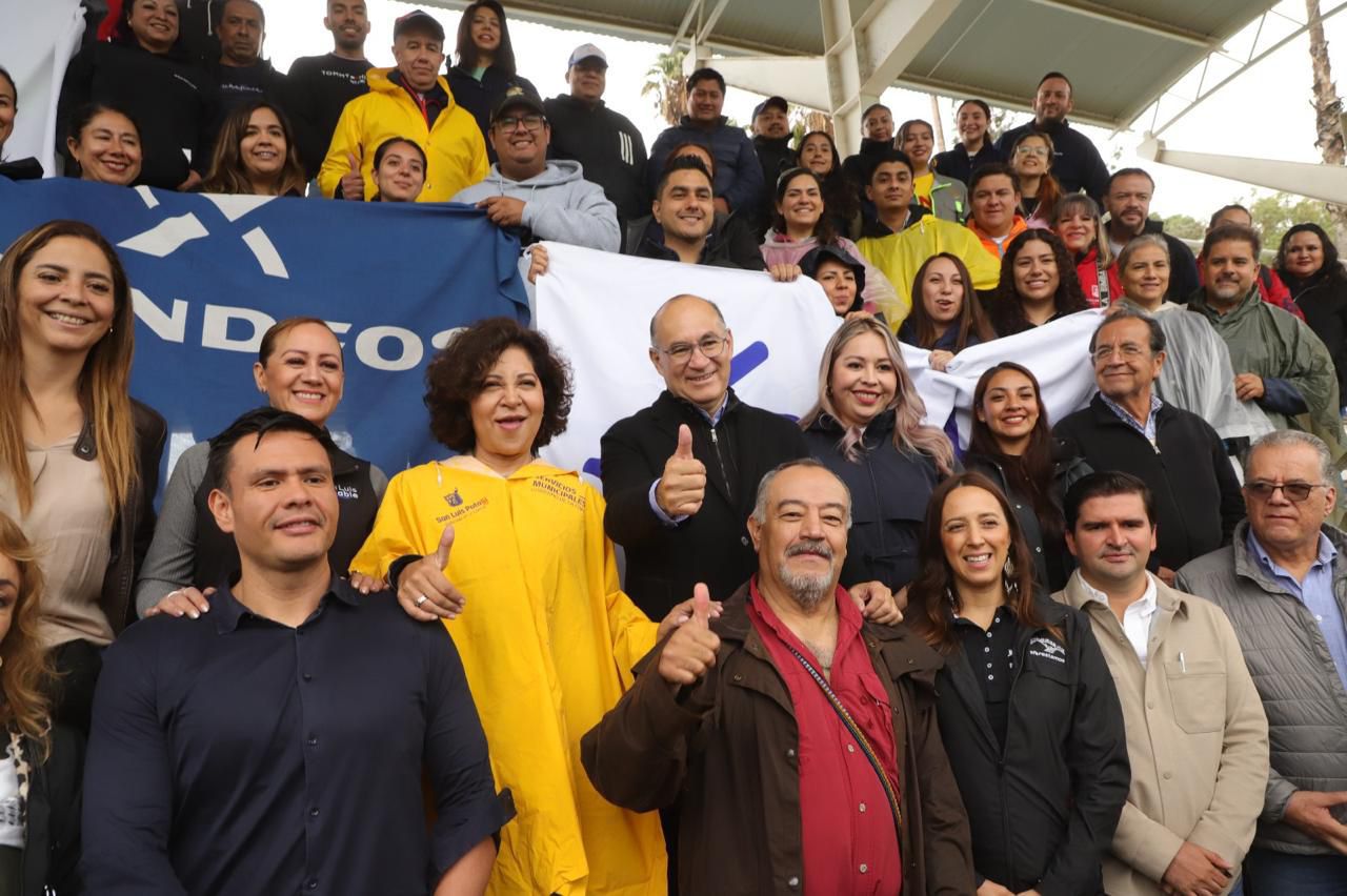 Reforestación estratégica refuerza el programa Capital al 100 en la ...